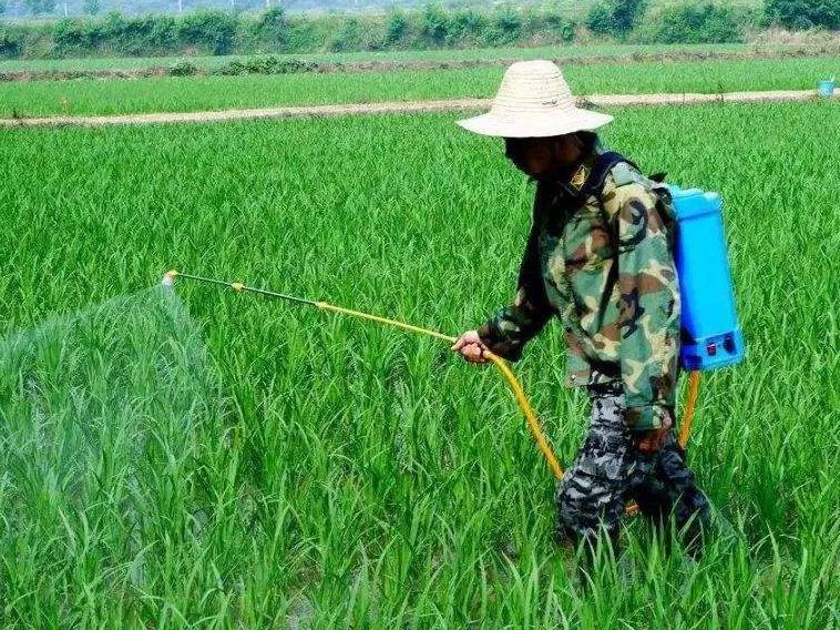 绿色、高效、环保的农药品质要求